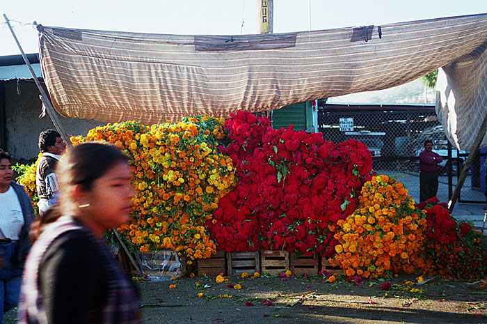 flower_market2